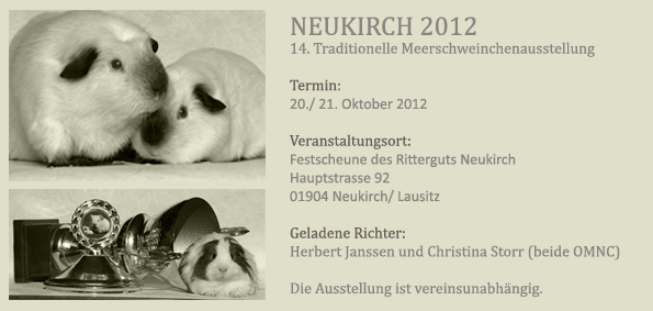 NK Flyer 2012