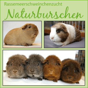 RMSZ Naturburschen