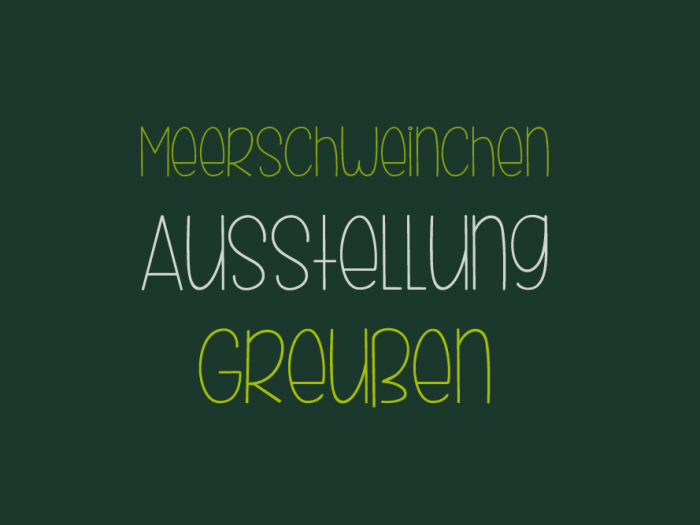 Meerschweinchenausstellung Greußen 2016