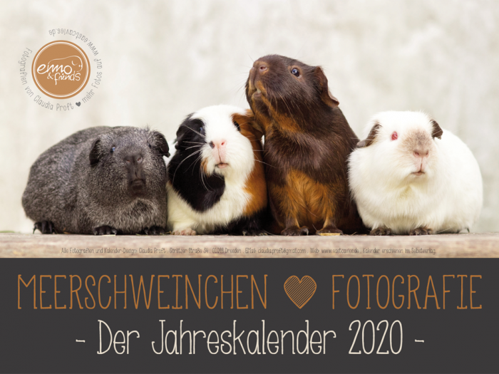 Kalender-Deckblatt 2020