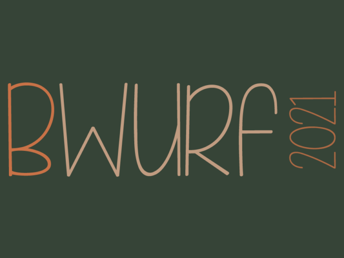 B13-Wurf