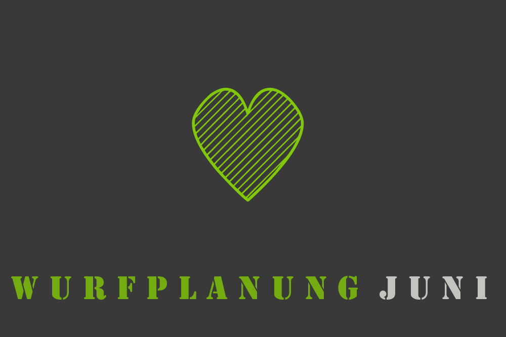 Wurfplanung Juni