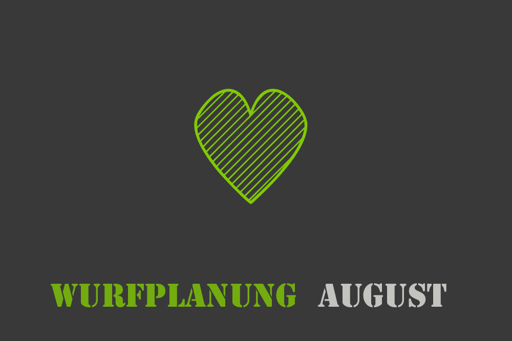 Wurfplanung August