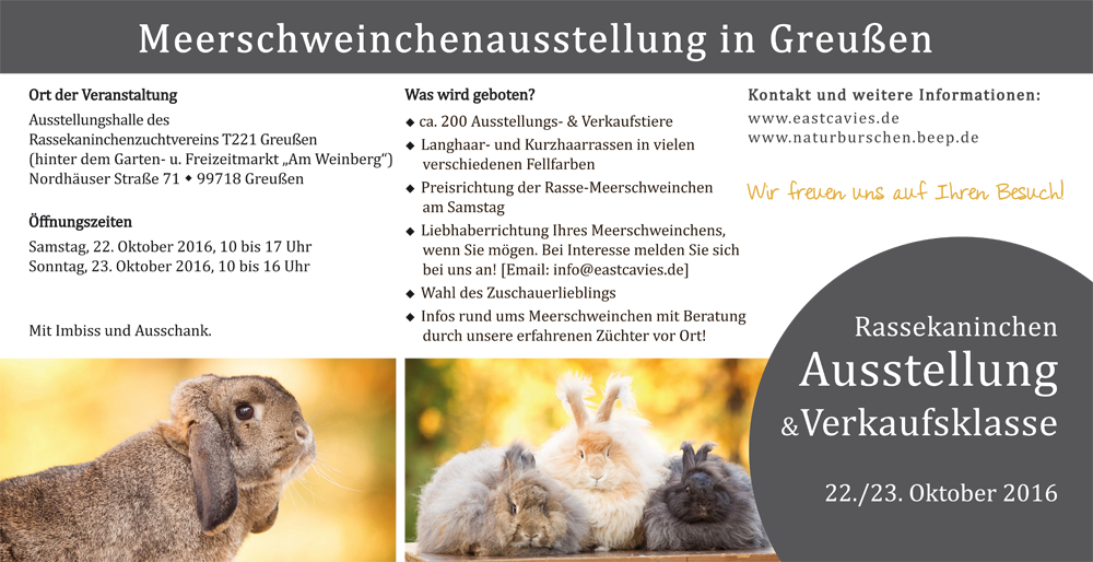 Ausstellungs-Infos