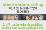 Zscherben 2018