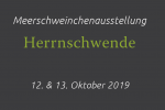 Ausstellung Herrnschwende