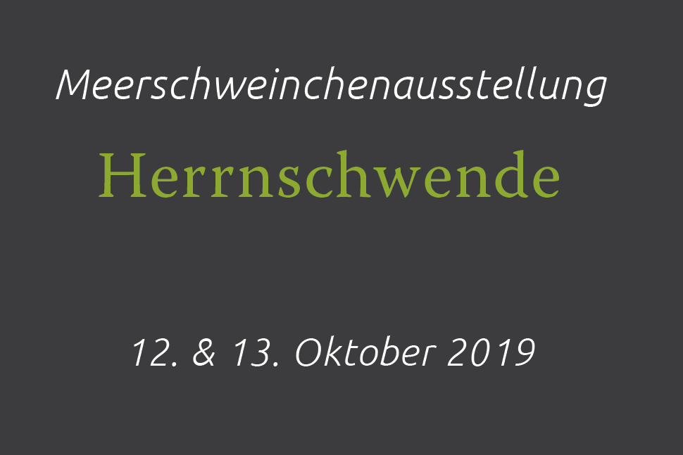 Ausstellung Herrnschwende