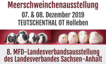 Meerschweinchenausstellung Holleben