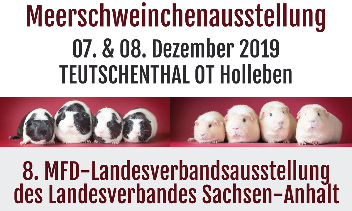 Meerschweinchenausstellung Holleben