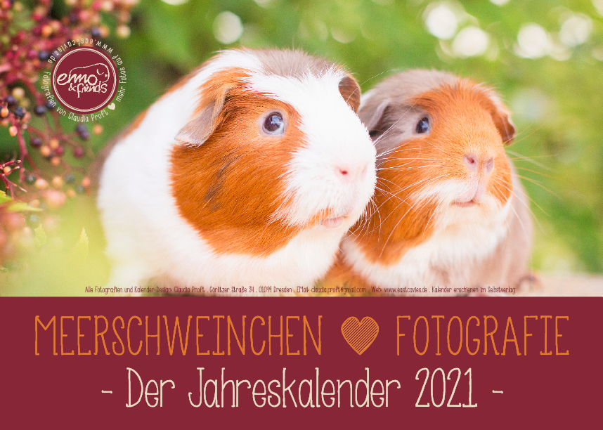 Meerschweinchenkalender