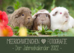 Meerschweinchenkalender 2022