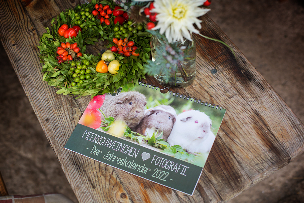 Wandkalender, Meerschweinchen, Meerschweinchenkalender, 2022, Tierfotografie