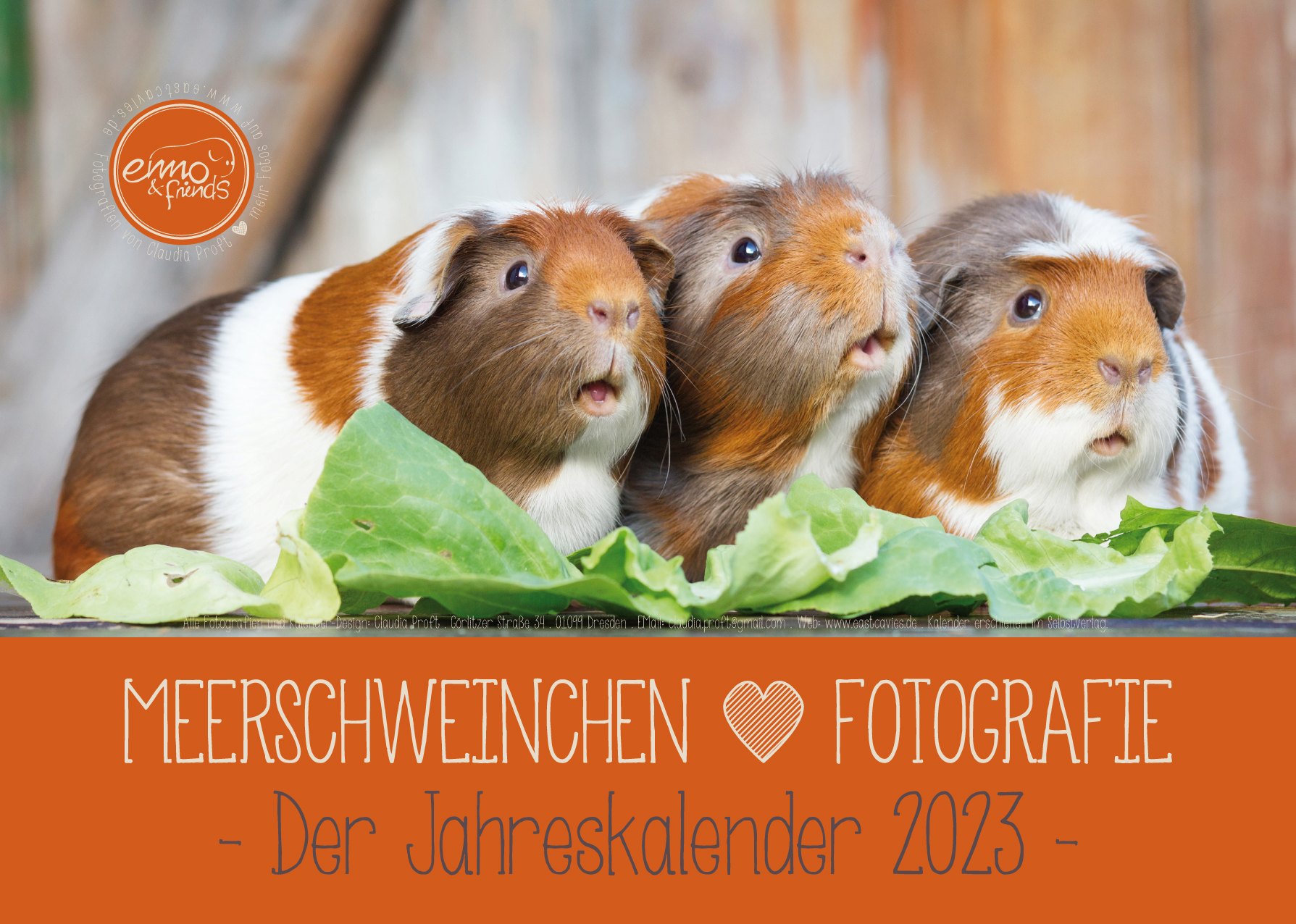 Meerschweinchenkalender