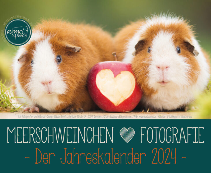 Meerschweinchenkalender